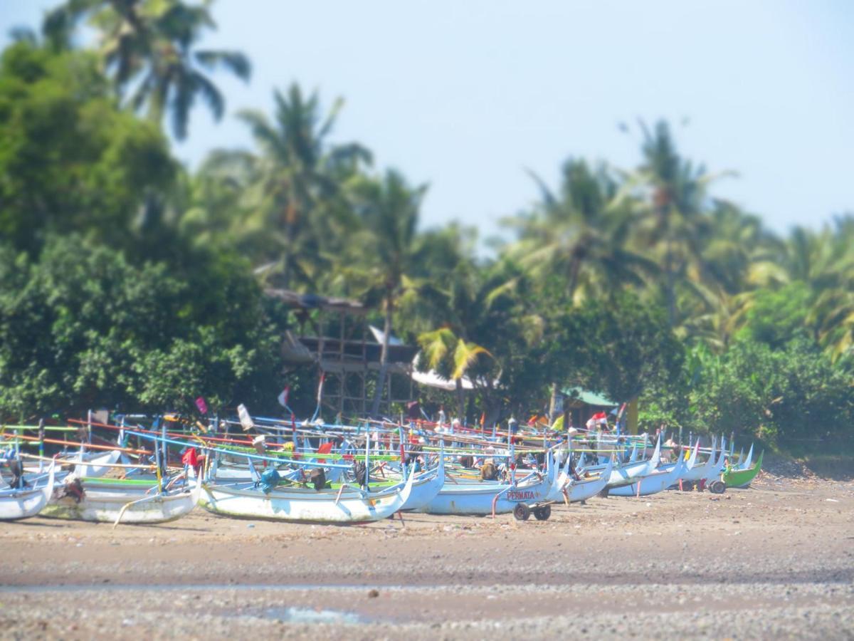 Kelapa Surf Villa Pulukan Extérieur photo